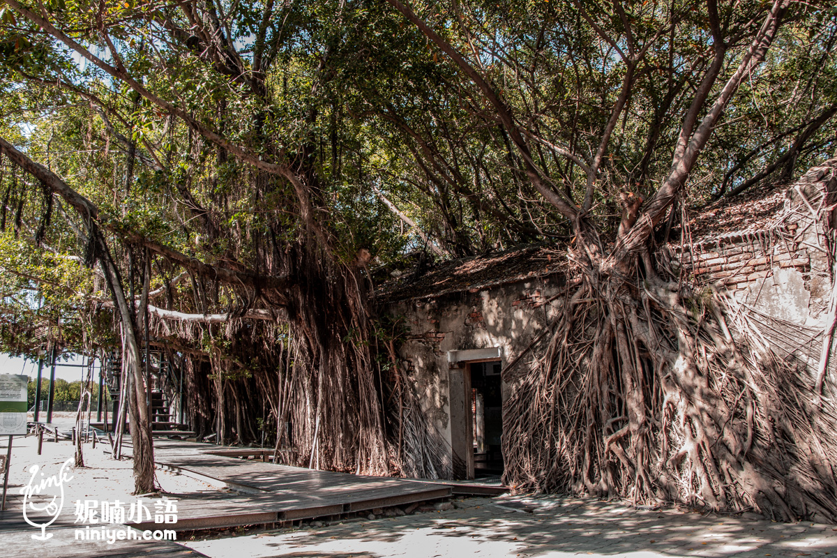 網站近期文章：安平樹屋｜台南私藏祕境！這處「光影森林」美到像電影場景，漫步空中天橋俯瞰盤根錯節，隨手一拍都是藝文大片！
