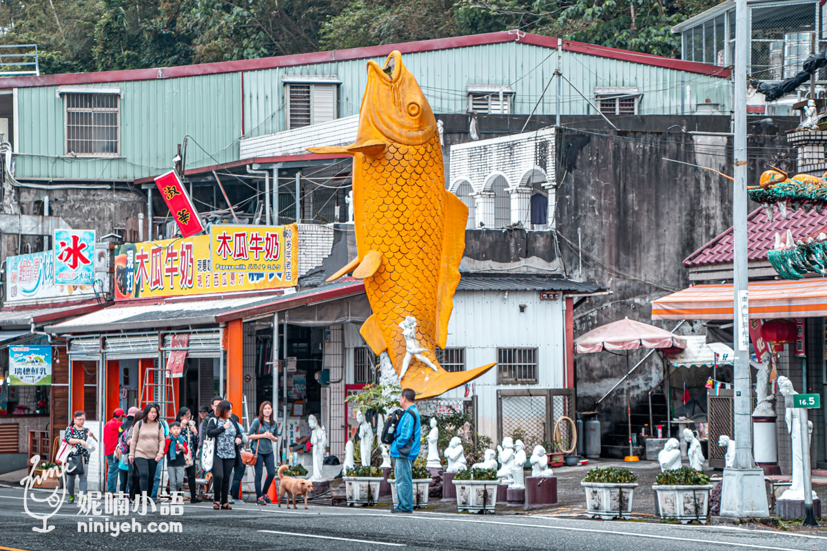 鯉魚潭風景區遊湖指南｜天鵝船/獨木舟價格、在地人私房「鯉魚山全景」拍照點