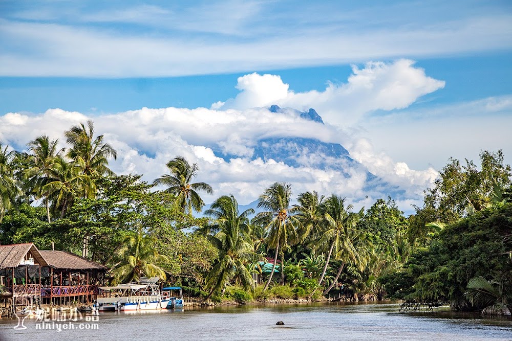 Kawa Kawa 長鼻猴 &amp; 螢火蟲雨林秘境探險！沙巴行程安排不可少 @Nico＆妮喃小語