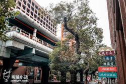 網站近期文章：中山國中(站)美食推薦｜13間必訪餐廳小吃清單一次看