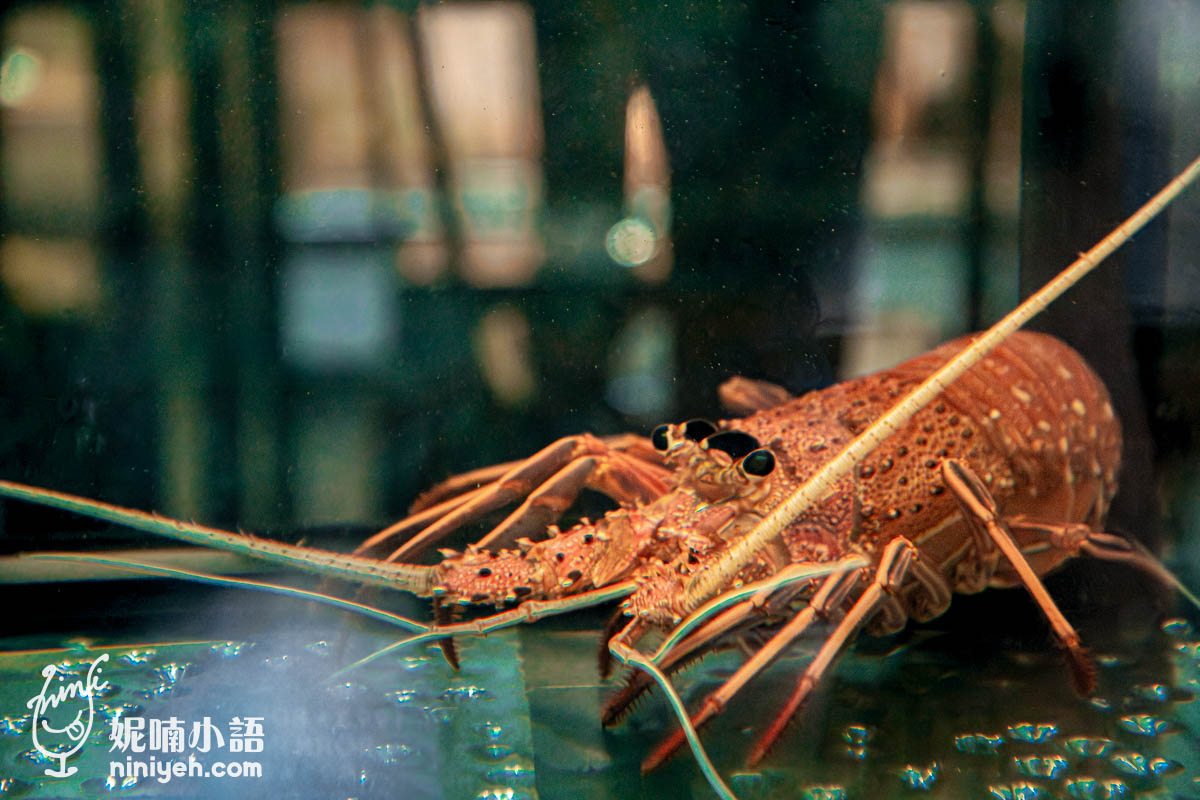 波波海鮮市集|內湖餐酒館推薦!零時差鮮味!大啖波士頓龍蝦 波波海鮮市集|內湖餐酒館推薦!零時差鮮味!大啖波士頓龍蝦