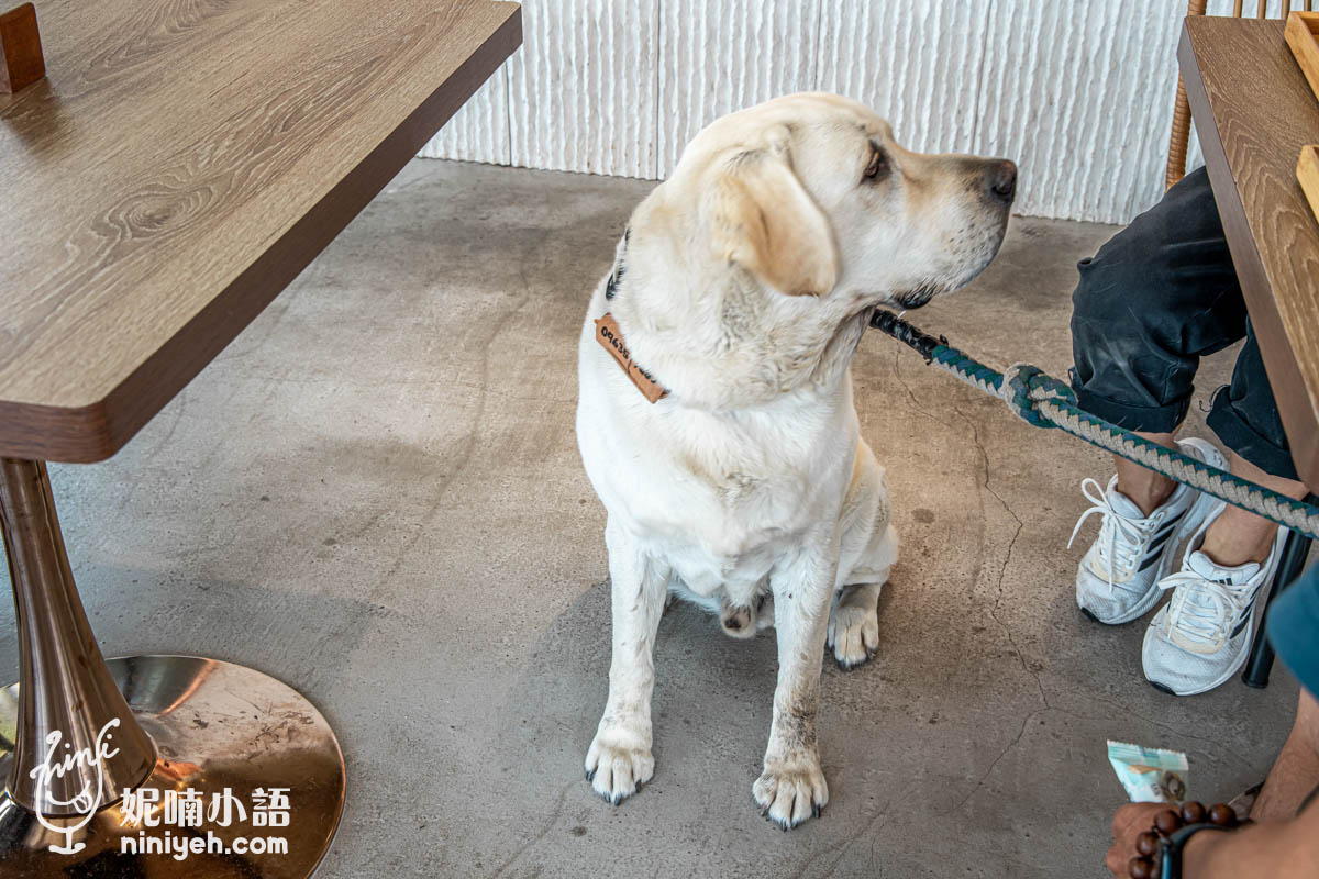 虎嘯山嵐｜埔里高空景觀餐廳推薦！山間玻璃屋用餐欣賞飛行傘玩家翱翔