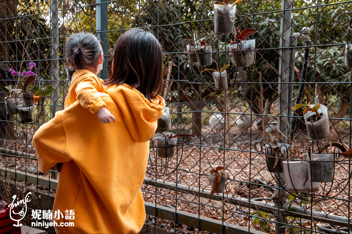瓦樣山巷｜台南玉井蔬食景觀餐廳！占地三千坪歐風戶外露營區