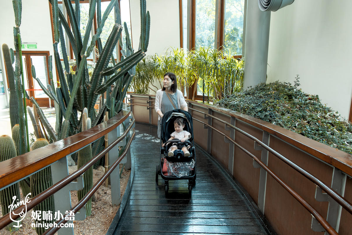 臺北典藏植物園｜免門票吹冷氣的親子景點！無障礙推車友善、高山植物冷氣房，順遊新生公園遊戲場