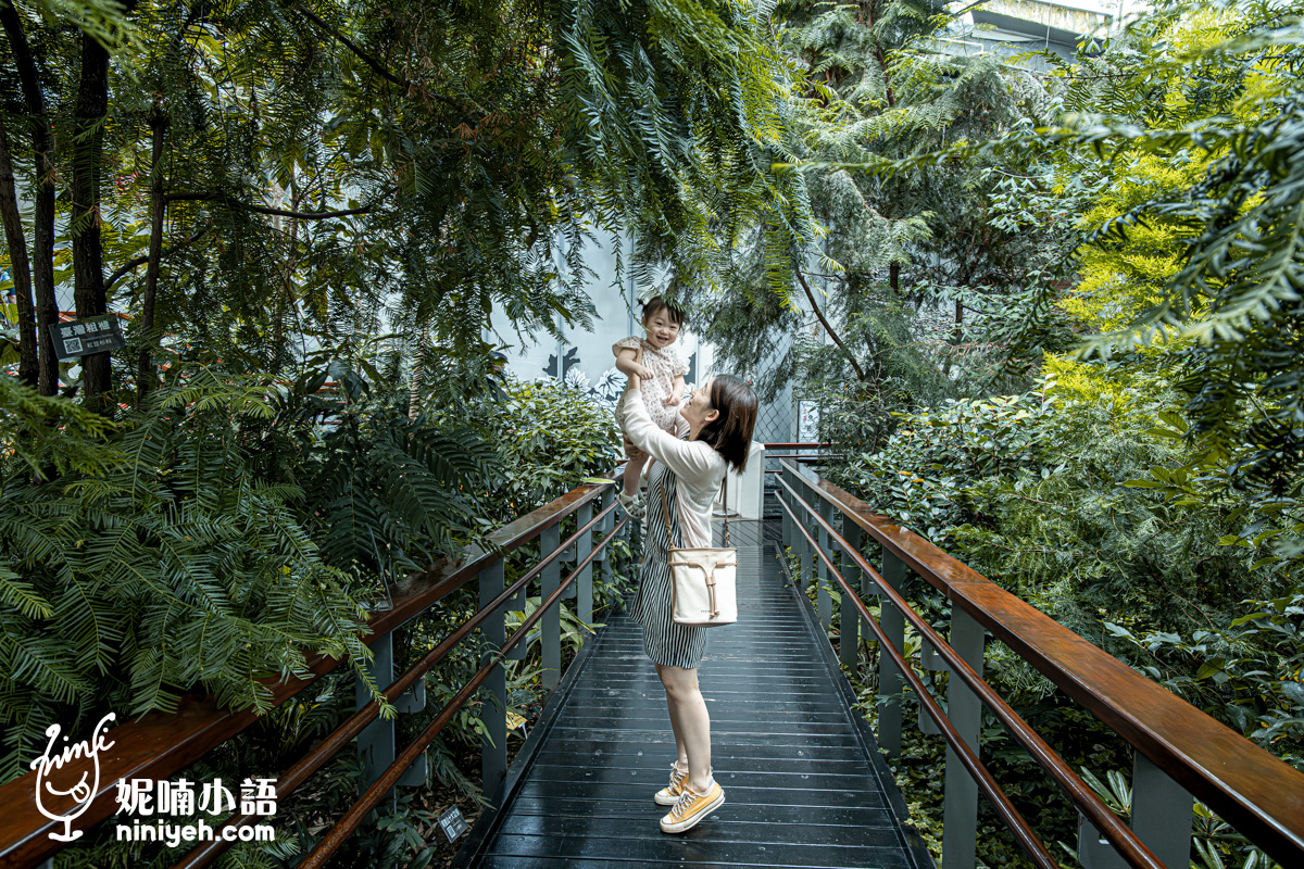 臺北典藏植物園｜免門票吹冷氣的親子景點！無障礙推車友善、高山植物冷氣房，順遊新生公園遊戲場