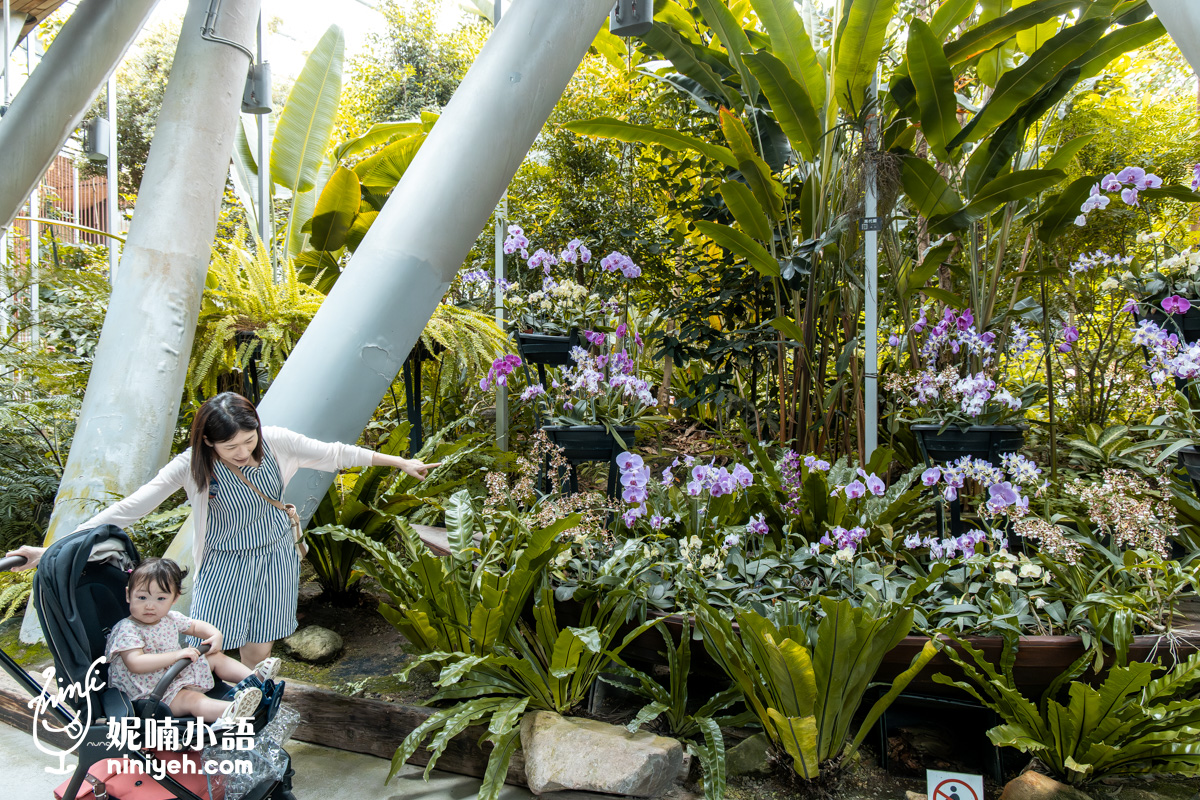 臺北典藏植物園｜免門票吹冷氣的親子景點！無障礙推車友善、高山植物冷氣房，順遊新生公園遊戲場
