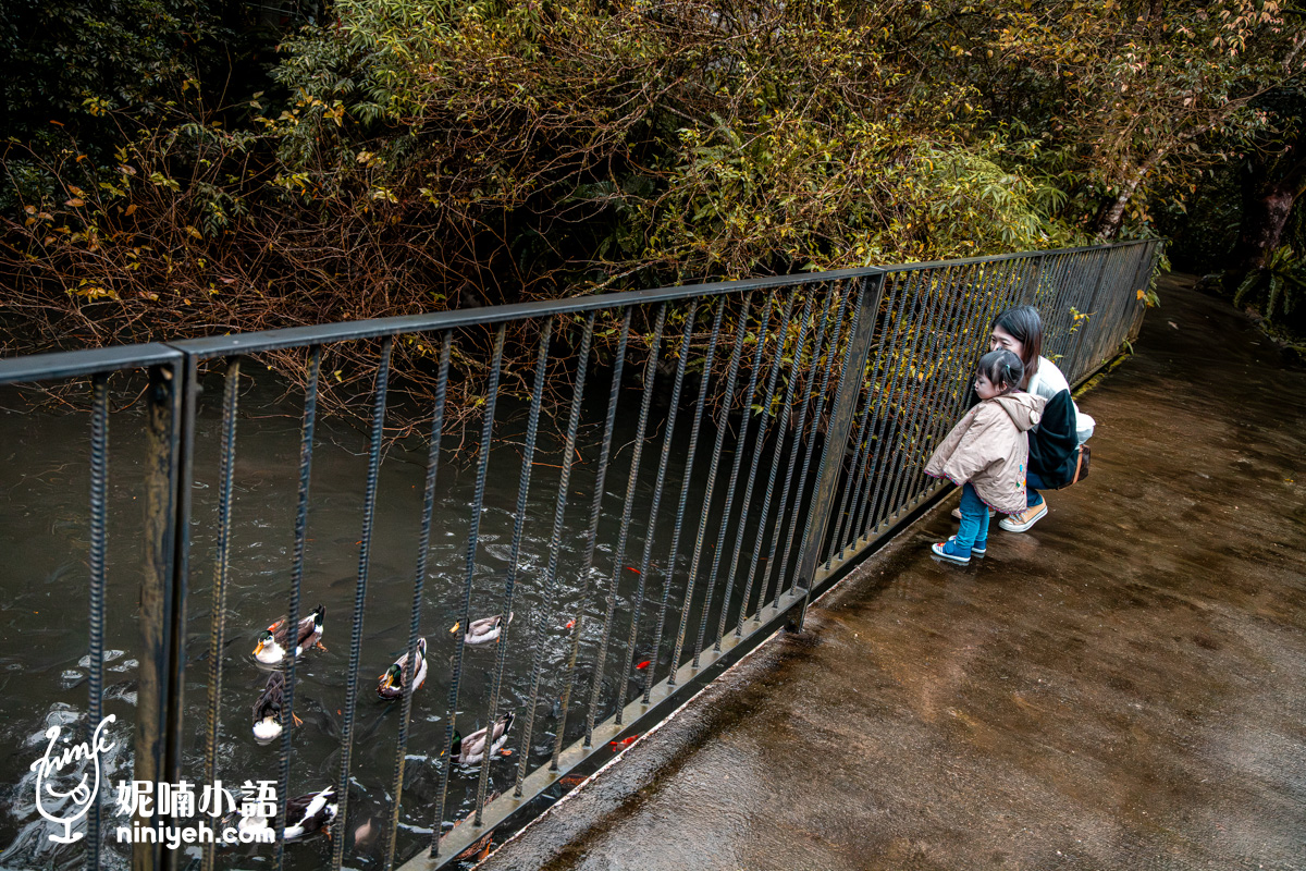三富休閒農場紫森林｜宜蘭冬山無蚊自然生態園區！螢火蟲季熱門親子旅宿推薦