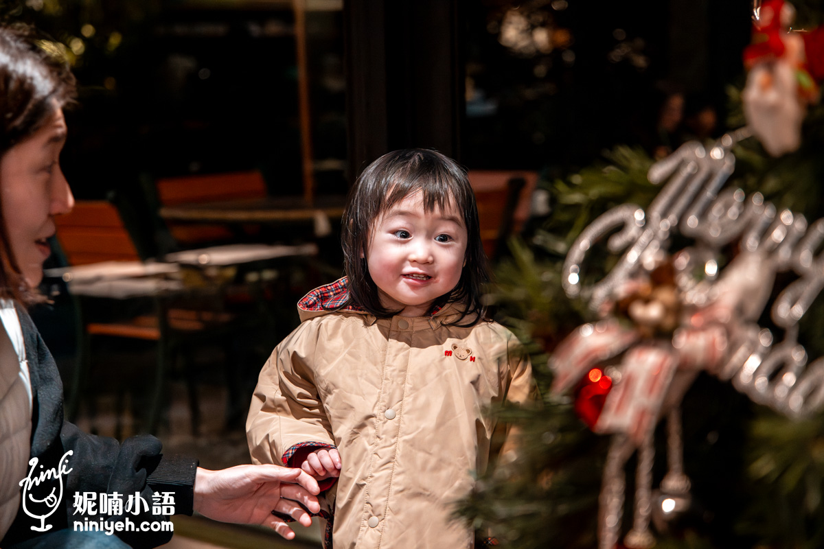 三富休閒農場紫森林｜宜蘭冬山無蚊自然生態園區！螢火蟲季熱門親子旅宿推薦