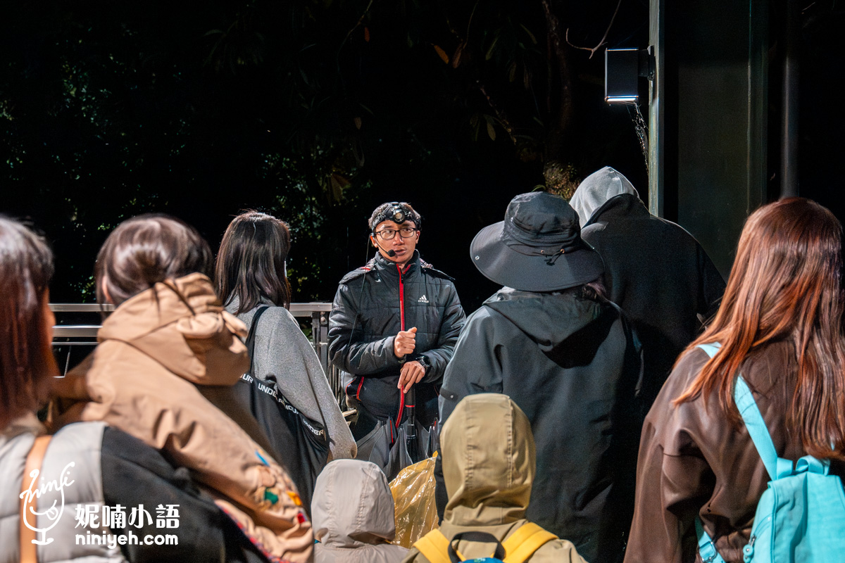 三富休閒農場紫森林｜宜蘭冬山無蚊自然生態園區！螢火蟲季熱門親子旅宿推薦