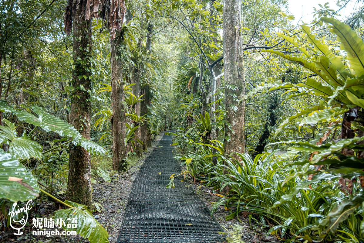 三富休閒農場紫森林｜宜蘭冬山無蚊自然生態園區！螢火蟲季熱門親子旅宿推薦