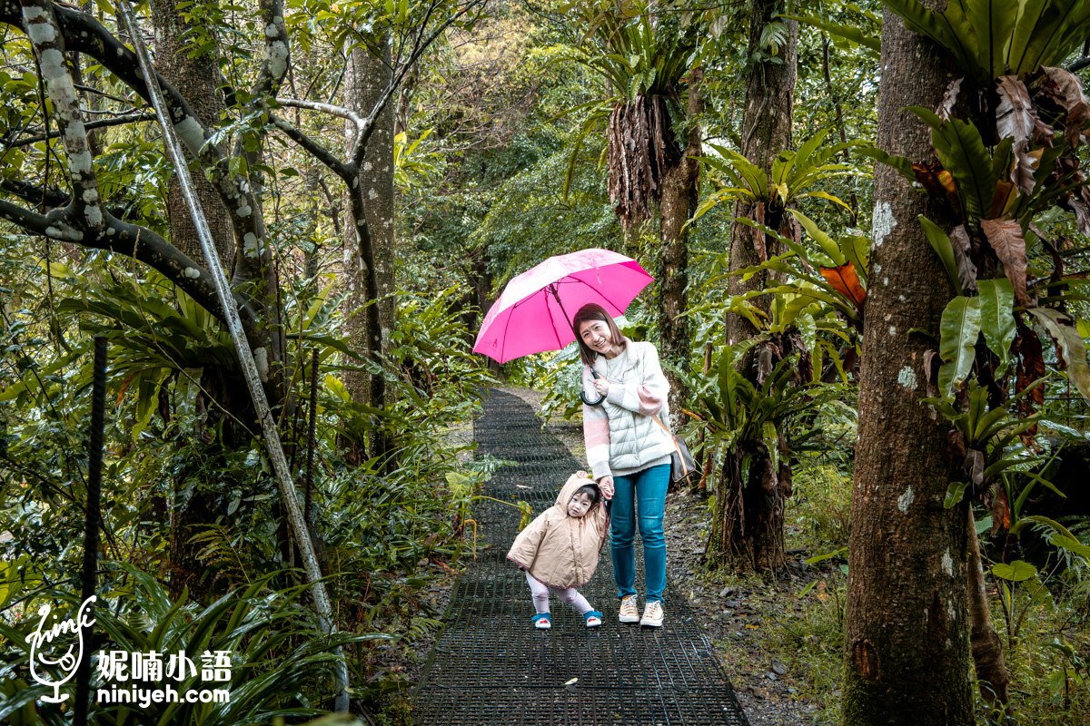 三富休閒農場紫森林｜宜蘭冬山無蚊自然生態園區！螢火蟲季熱門親子旅宿推薦