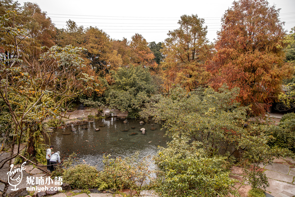 三富休閒農場紫森林｜宜蘭冬山無蚊自然生態園區！螢火蟲季熱門親子旅宿推薦