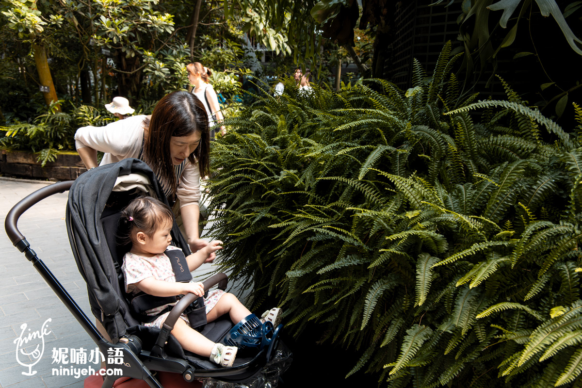 臺北典藏植物園｜免門票吹冷氣的親子景點！無障礙推車友善、高山植物冷氣房，順遊新生公園遊戲場