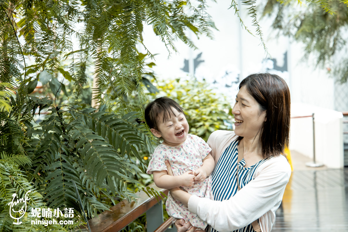 臺北典藏植物園｜免門票吹冷氣的親子景點！無障礙推車友善、高山植物冷氣房，順遊新生公園遊戲場