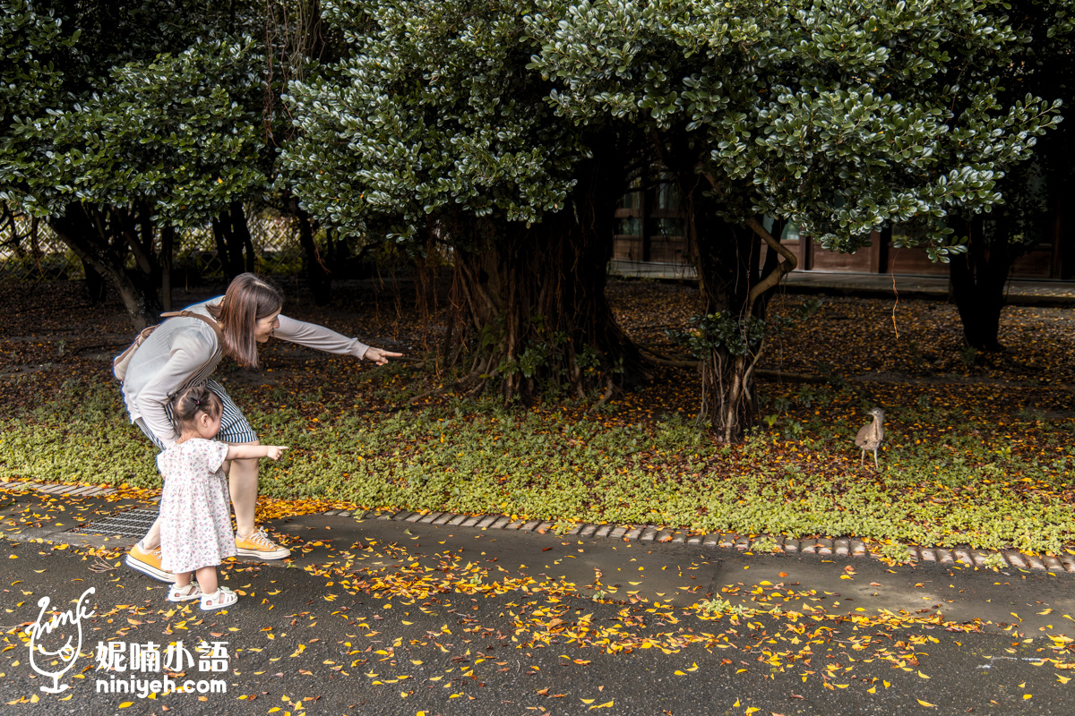 臺北典藏植物園｜免門票吹冷氣的親子景點！無障礙推車友善、高山植物冷氣房，順遊新生公園遊戲場
