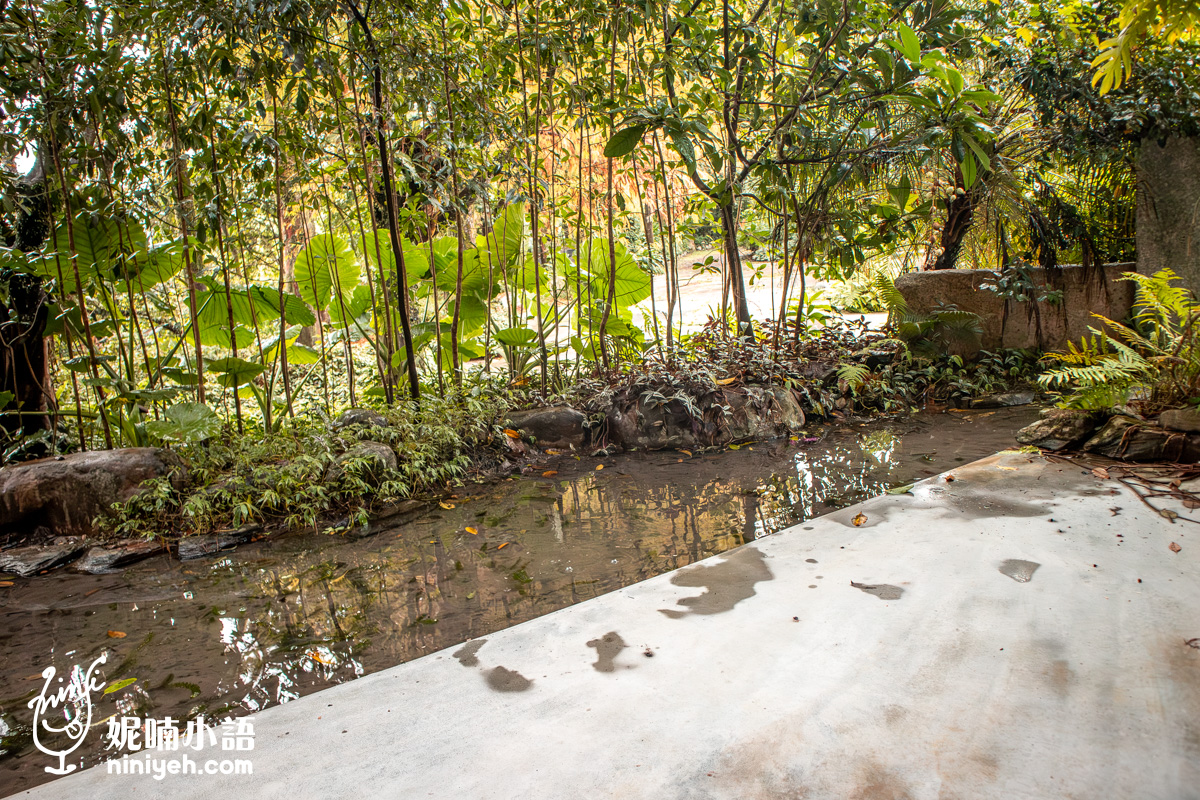 三富休閒農場紫森林｜宜蘭冬山無蚊自然生態園區！螢火蟲季熱門親子旅宿推薦
