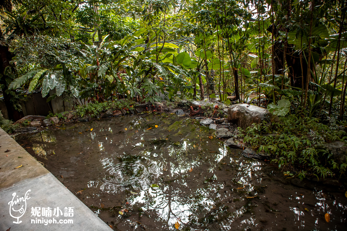 三富休閒農場紫森林｜宜蘭冬山無蚊自然生態園區！螢火蟲季熱門親子旅宿推薦