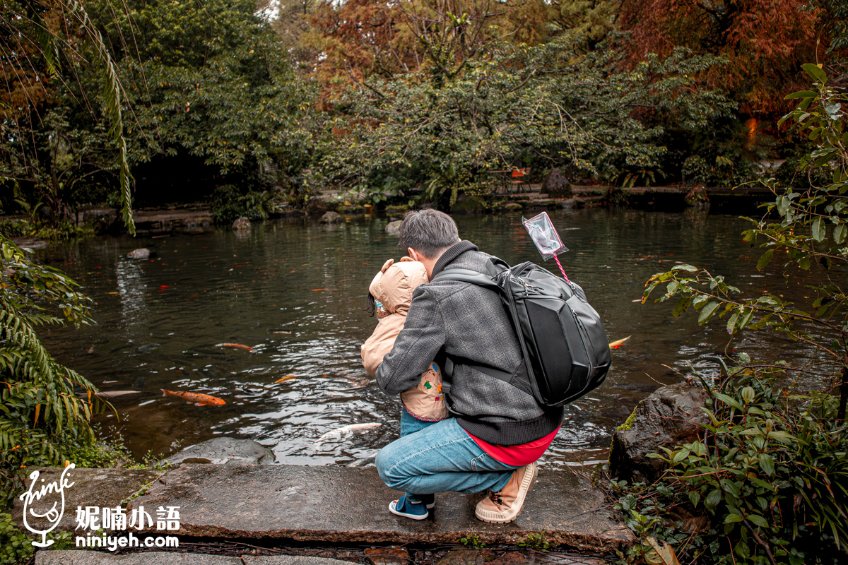 三富休閒農場紫森林｜宜蘭冬山無蚊自然生態園區！螢火蟲季熱門親子旅宿推薦