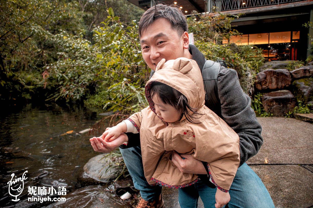 三富休閒農場紫森林｜宜蘭冬山無蚊自然生態園區！螢火蟲季熱門親子旅宿推薦
