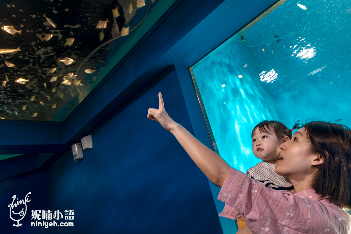 Xpark 水族館|帶一歲寶寶輕鬆放電!開箱10大展區與親子路線攻略 Xpark 水族館|帶一歲寶寶輕鬆放電!開箱10大展區與親子路線攻略