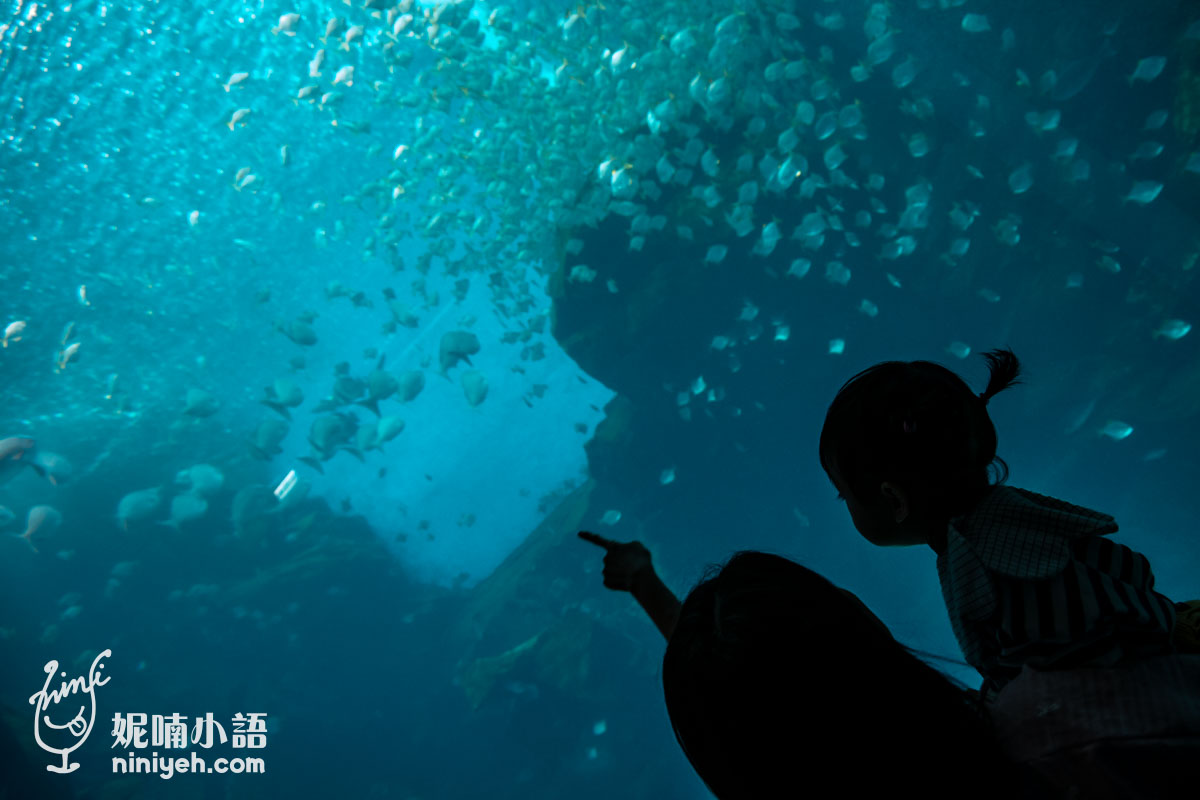 網站近期文章：Xpark 水族館｜帶一歲寶寶輕鬆放電！開箱10大展區與親子路線攻略