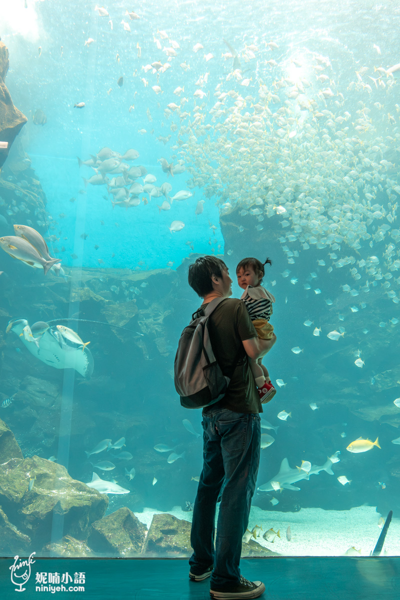 Xpark 水族館|帶一歲寶寶輕鬆放電!開箱10大展區與親子路線攻略 Xpark 水族館|帶一歲寶寶輕鬆放電!開箱10大展區與親子路線攻略