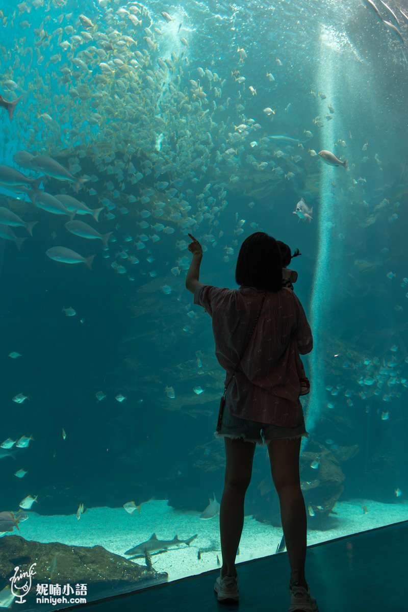 Xpark 水族館|帶一歲寶寶輕鬆放電!開箱10大展區與親子路線攻略 Xpark 水族館|帶一歲寶寶輕鬆放電!開箱10大展區與親子路線攻略