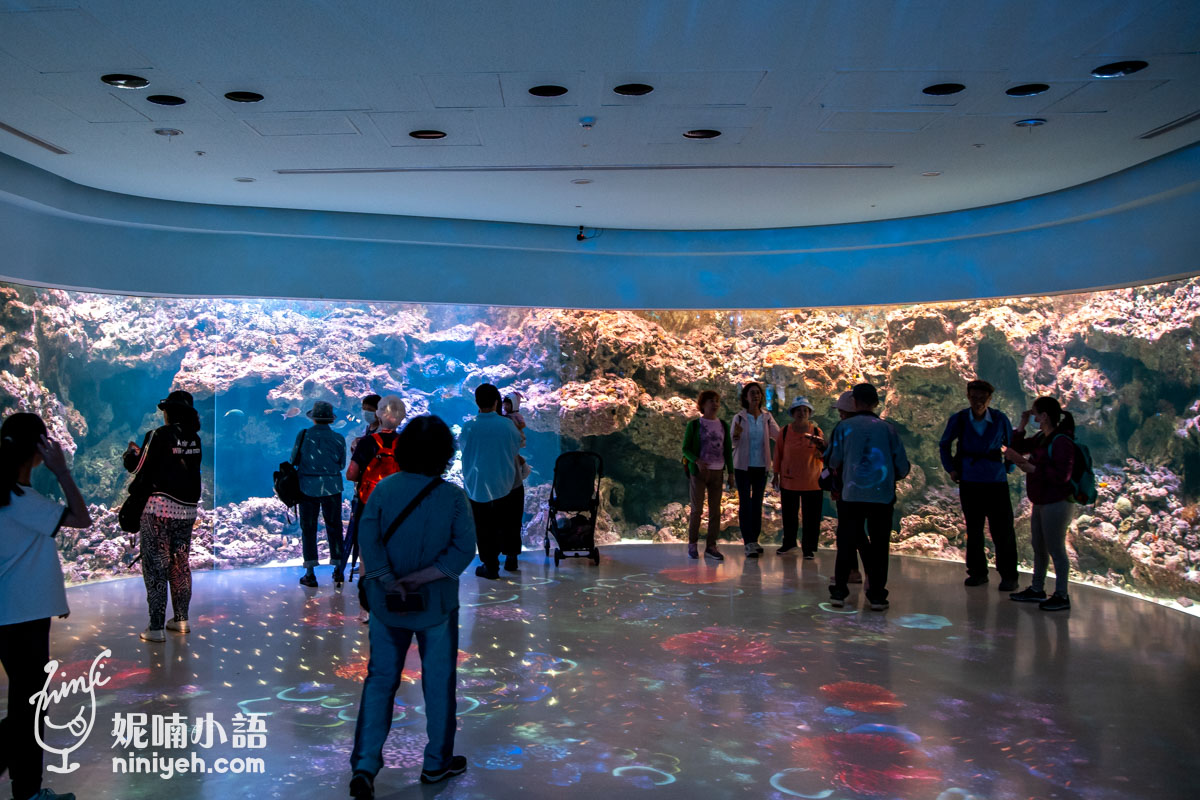 Xpark 水族館|帶一歲寶寶輕鬆放電!開箱10大展區與親子路線攻略 Xpark 水族館|帶一歲寶寶輕鬆放電!開箱10大展區與親子路線攻略