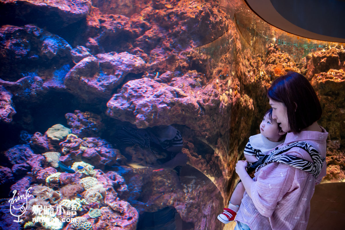 Xpark 水族館|帶一歲寶寶輕鬆放電!開箱10大展區與親子路線攻略 Xpark 水族館|帶一歲寶寶輕鬆放電!開箱10大展區與親子路線攻略