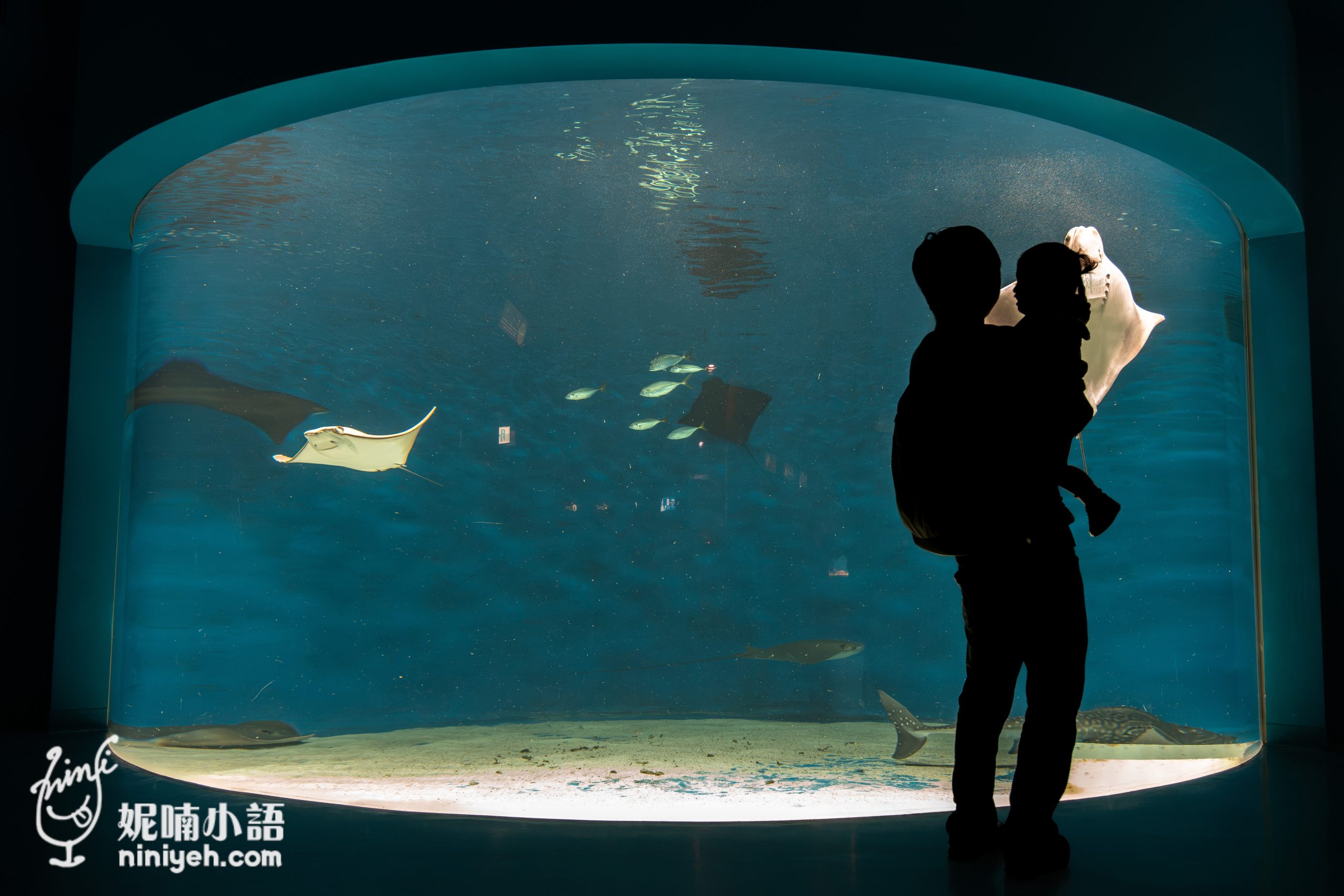 Xpark 水族館|帶一歲寶寶輕鬆放電!開箱10大展區與親子路線攻略 Xpark 水族館|帶一歲寶寶輕鬆放電!開箱10大展區與親子路線攻略