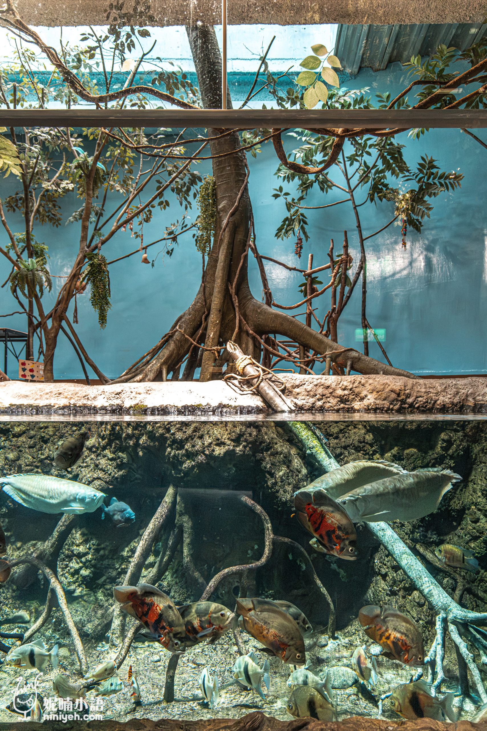 Xpark 水族館|帶一歲寶寶輕鬆放電!開箱10大展區與親子路線攻略 Xpark 水族館|帶一歲寶寶輕鬆放電!開箱10大展區與親子路線攻略