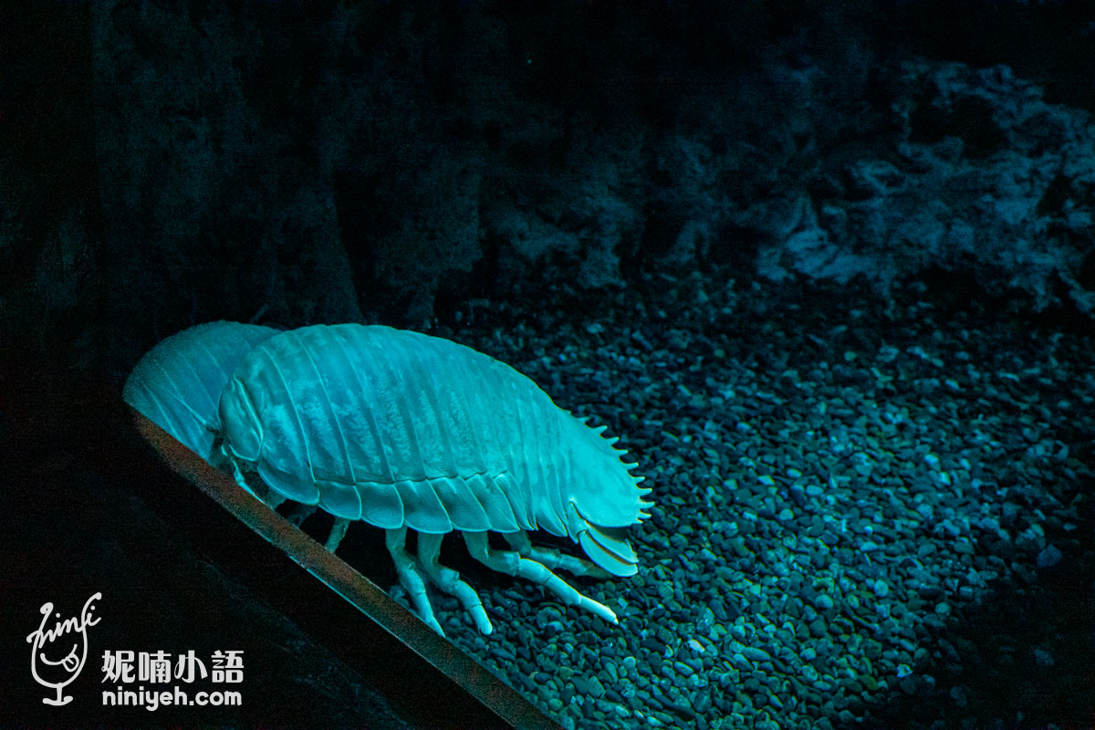 Xpark 水族館|帶一歲寶寶輕鬆放電!開箱10大展區與親子路線攻略 Xpark 水族館|帶一歲寶寶輕鬆放電!開箱10大展區與親子路線攻略
