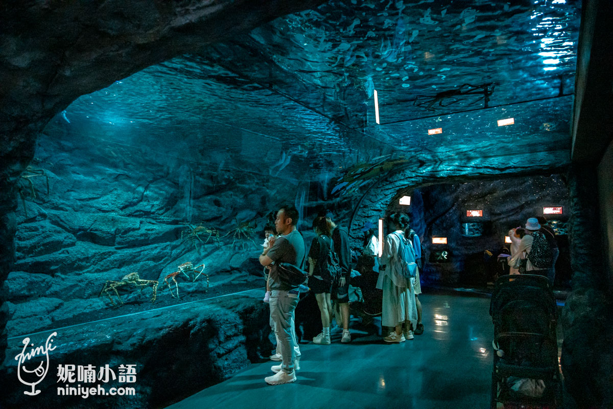 Xpark 水族館|帶一歲寶寶輕鬆放電!開箱10大展區與親子路線攻略 Xpark 水族館|帶一歲寶寶輕鬆放電!開箱10大展區與親子路線攻略