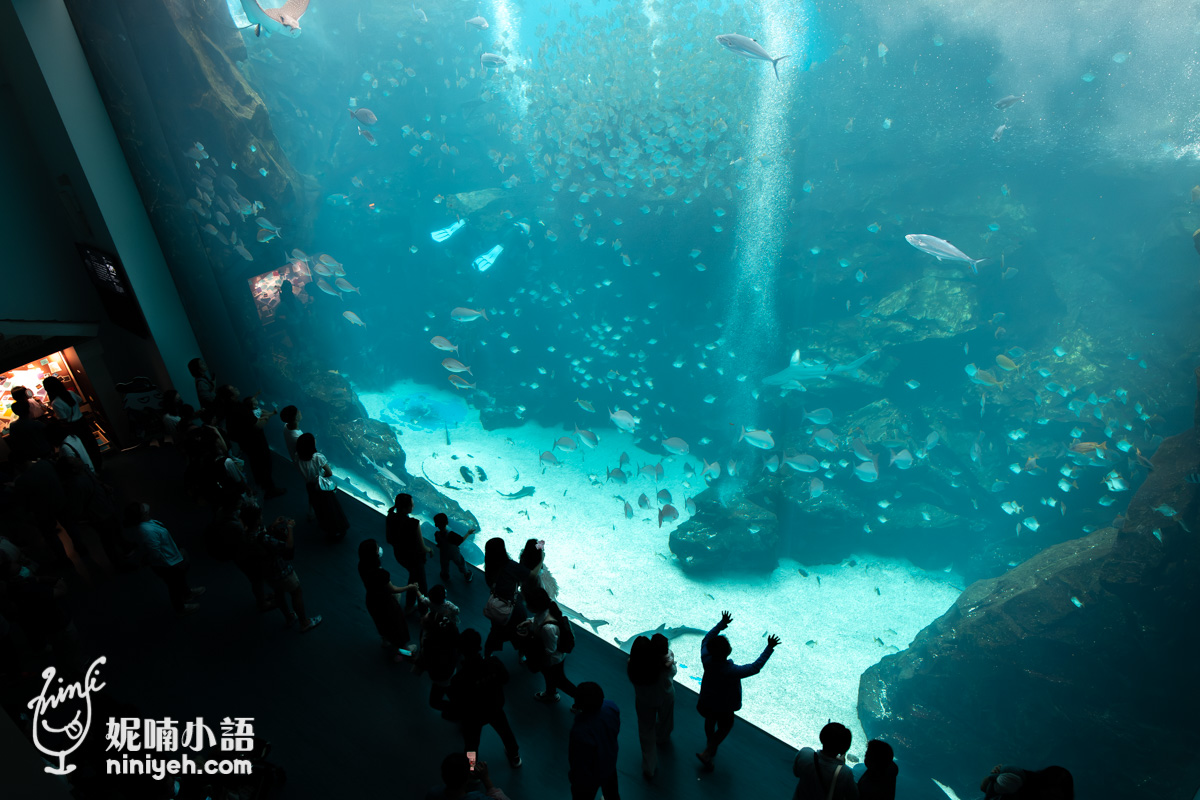 Xpark 水族館|帶一歲寶寶輕鬆放電!開箱10大展區與親子路線攻略 Xpark 水族館|帶一歲寶寶輕鬆放電!開箱10大展區與親子路線攻略