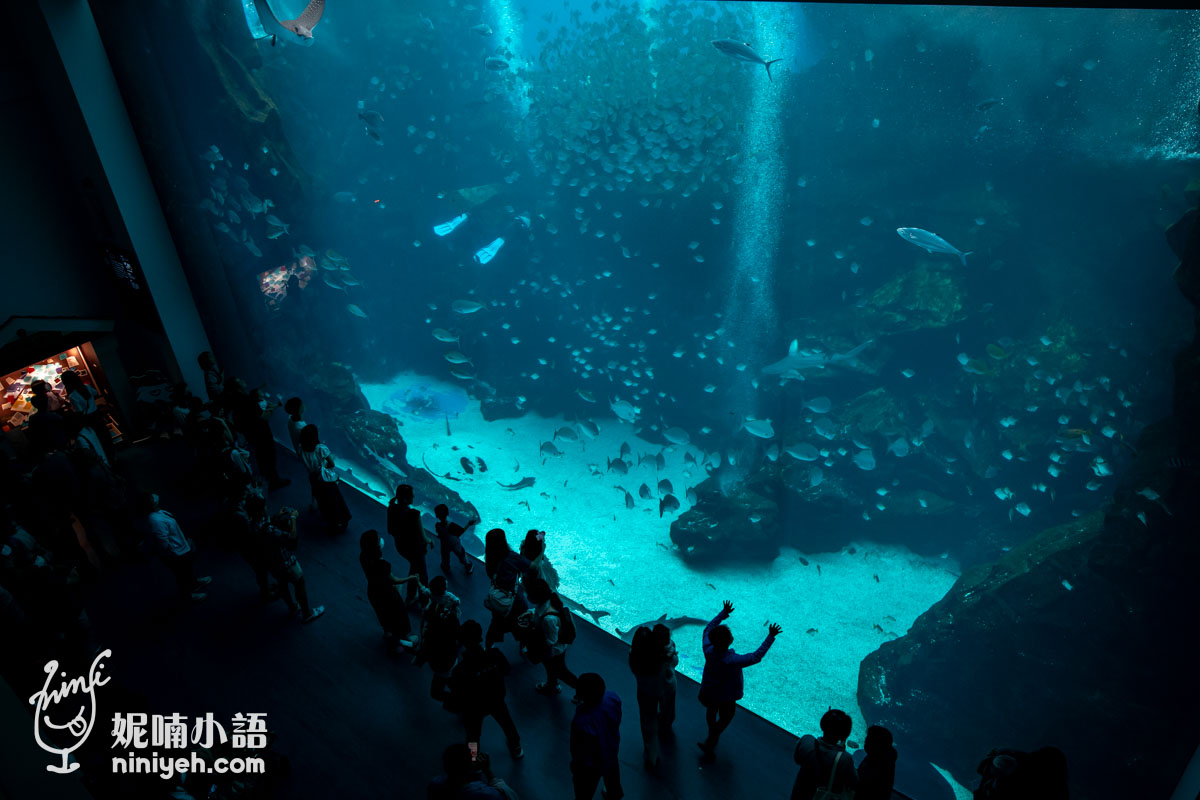 Xpark 水族館|帶一歲寶寶輕鬆放電!開箱10大展區與親子路線攻略 Xpark 水族館|帶一歲寶寶輕鬆放電!開箱10大展區與親子路線攻略