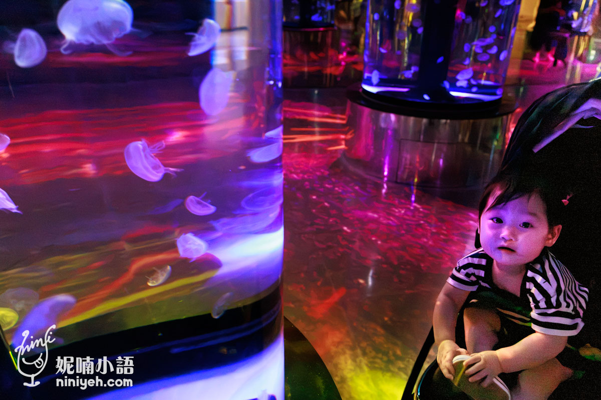 Xpark 水族館|帶一歲寶寶輕鬆放電!開箱10大展區與親子路線攻略 Xpark 水族館|帶一歲寶寶輕鬆放電!開箱10大展區與親子路線攻略