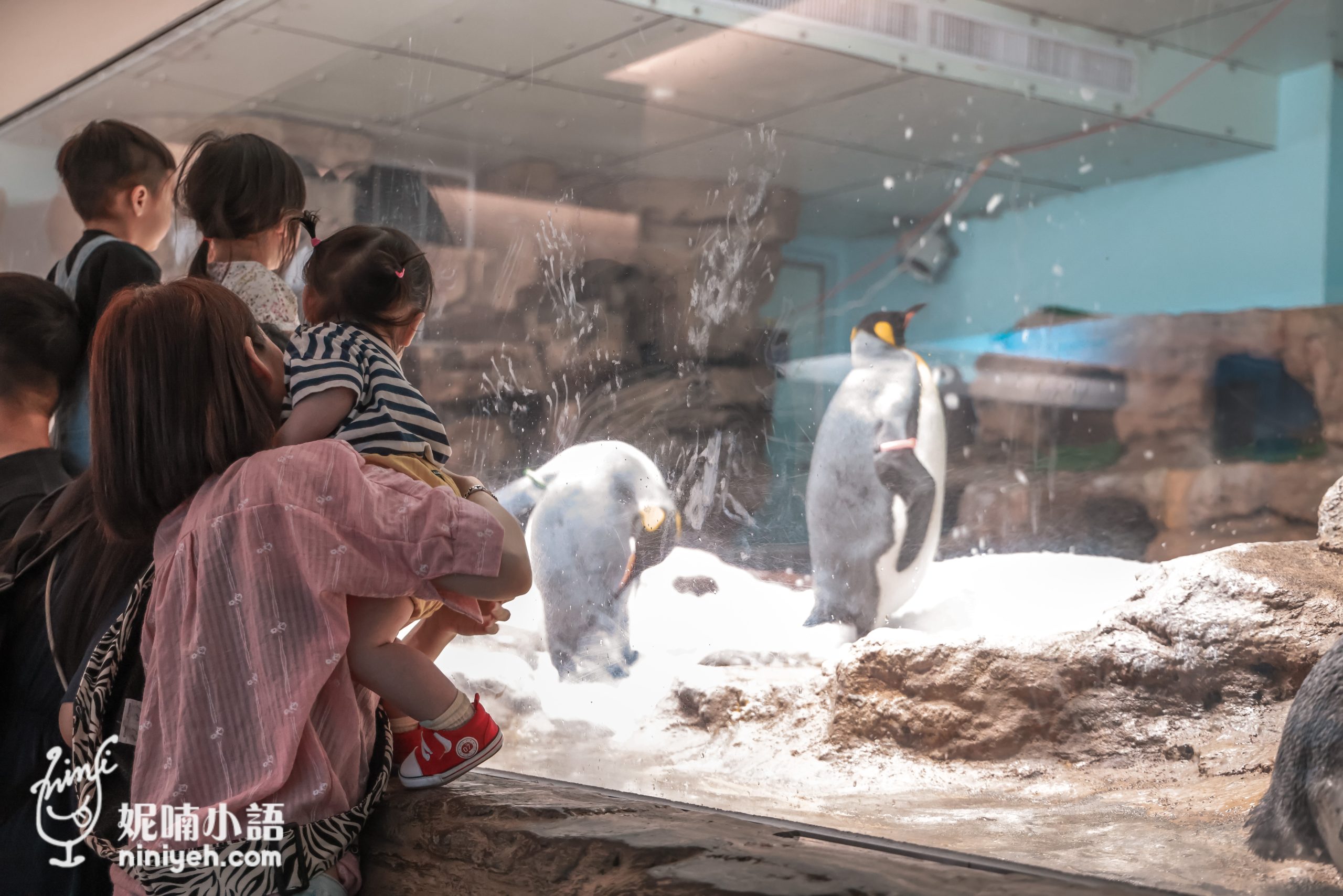 Xpark 水族館|帶一歲寶寶輕鬆放電!開箱10大展區與親子路線攻略 Xpark 水族館|帶一歲寶寶輕鬆放電!開箱10大展區與親子路線攻略