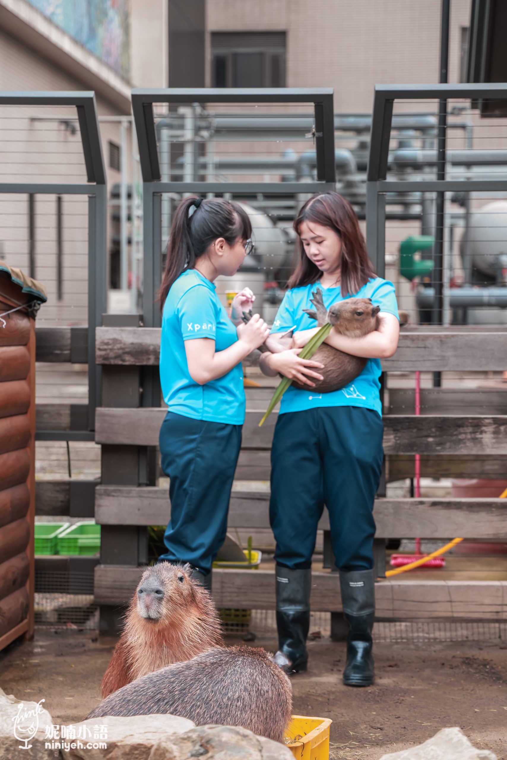 Xpark 水族館|帶一歲寶寶輕鬆放電!開箱10大展區與親子路線攻略 Xpark 水族館|帶一歲寶寶輕鬆放電!開箱10大展區與親子路線攻略