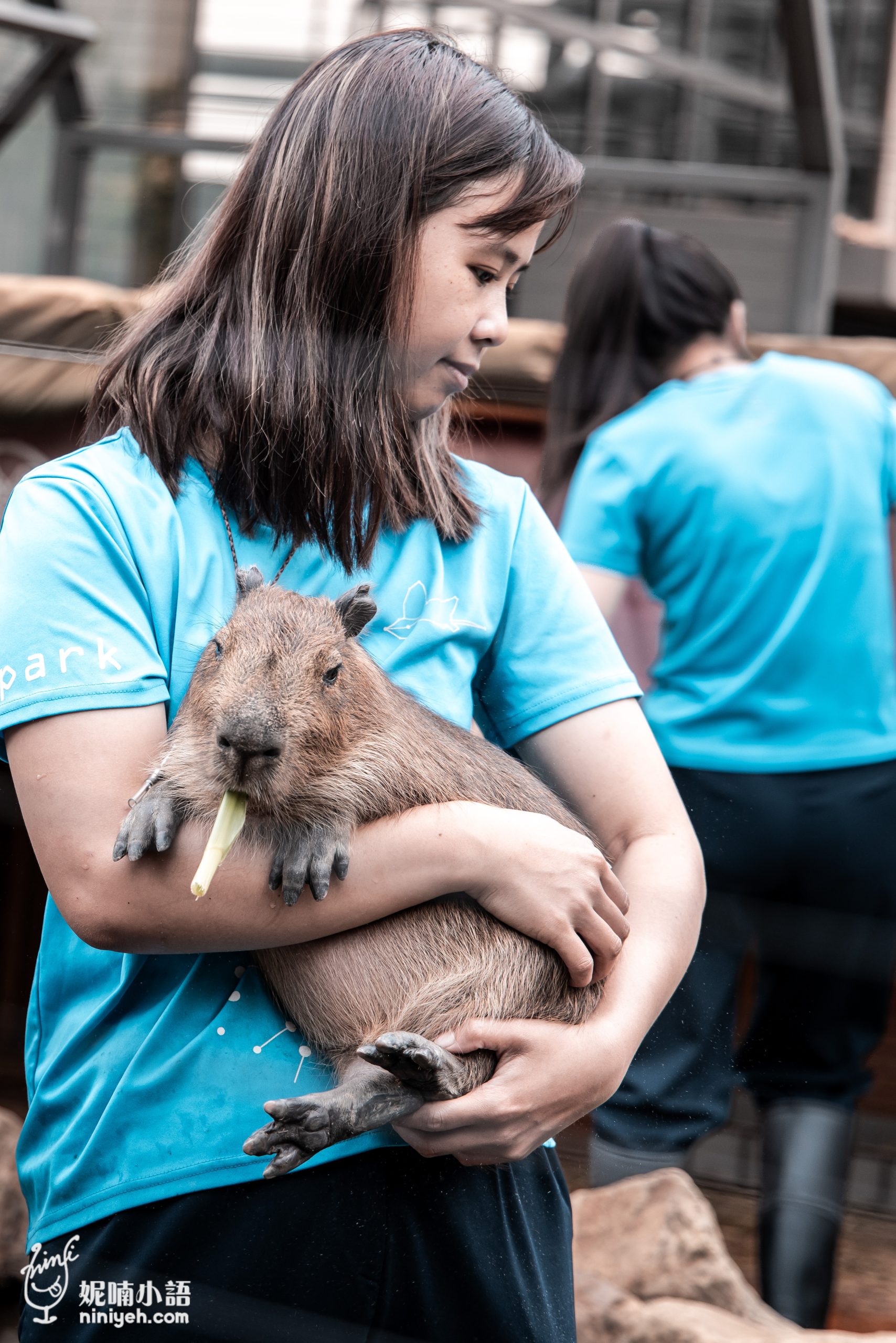 Xpark 水族館|帶一歲寶寶輕鬆放電!開箱10大展區與親子路線攻略 Xpark 水族館|帶一歲寶寶輕鬆放電!開箱10大展區與親子路線攻略
