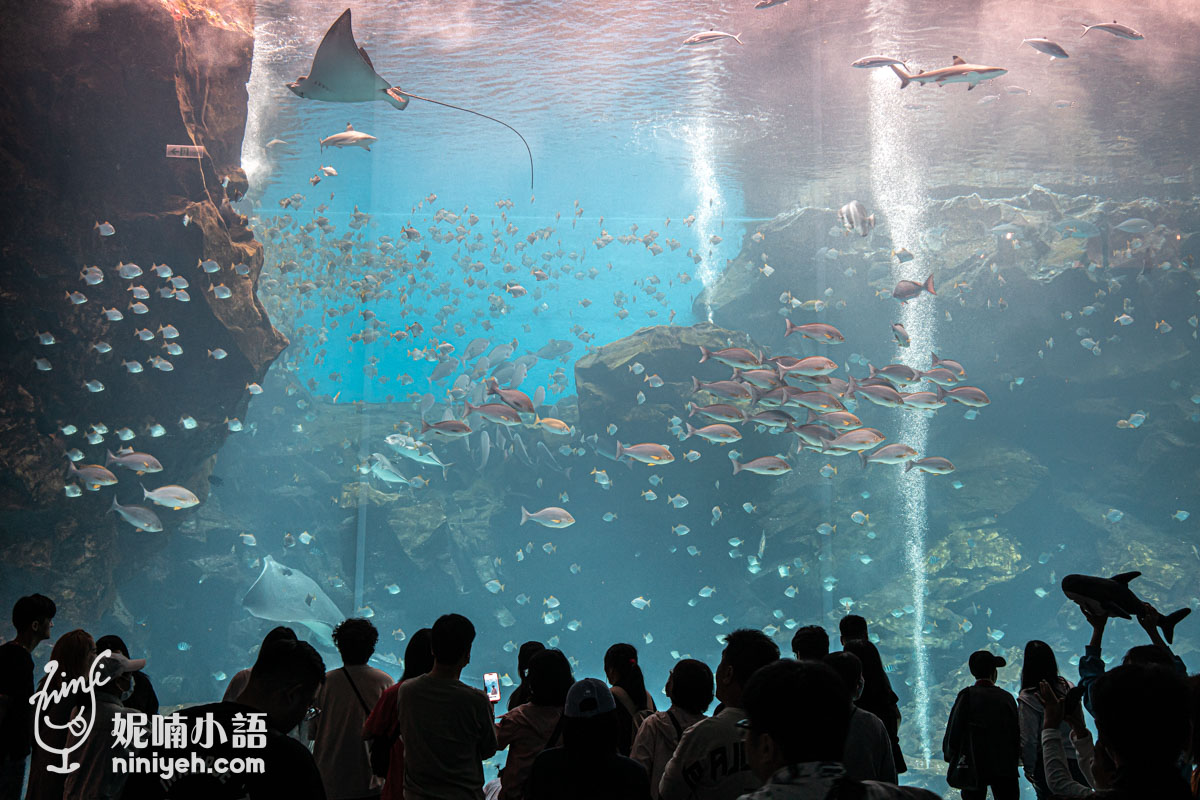 Xpark 水族館|帶一歲寶寶輕鬆放電!開箱10大展區與親子路線攻略 Xpark 水族館|帶一歲寶寶輕鬆放電!開箱10大展區與親子路線攻略