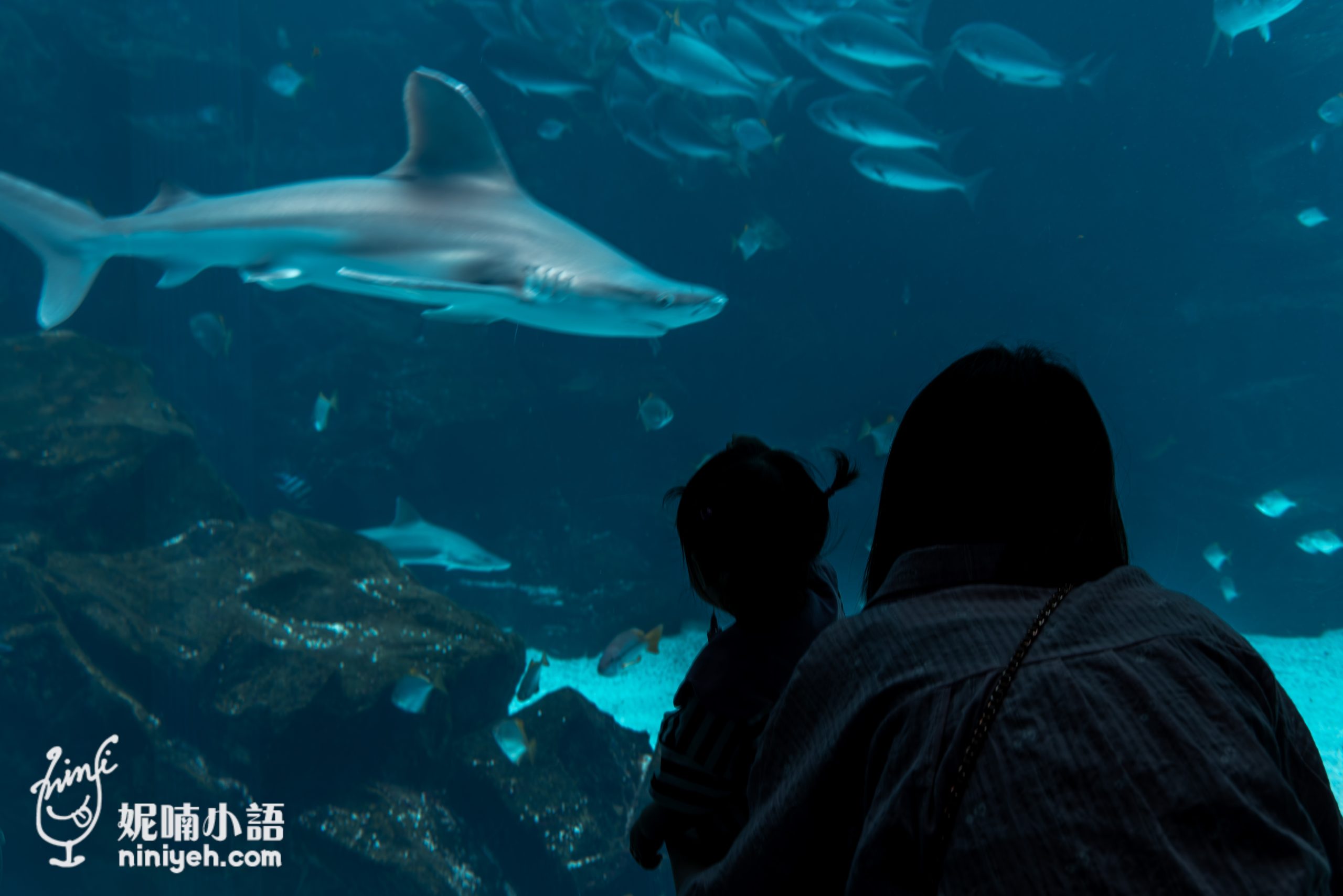 Xpark 水族館|帶一歲寶寶輕鬆放電!開箱10大展區與親子路線攻略 Xpark 水族館|帶一歲寶寶輕鬆放電!開箱10大展區與親子路線攻略