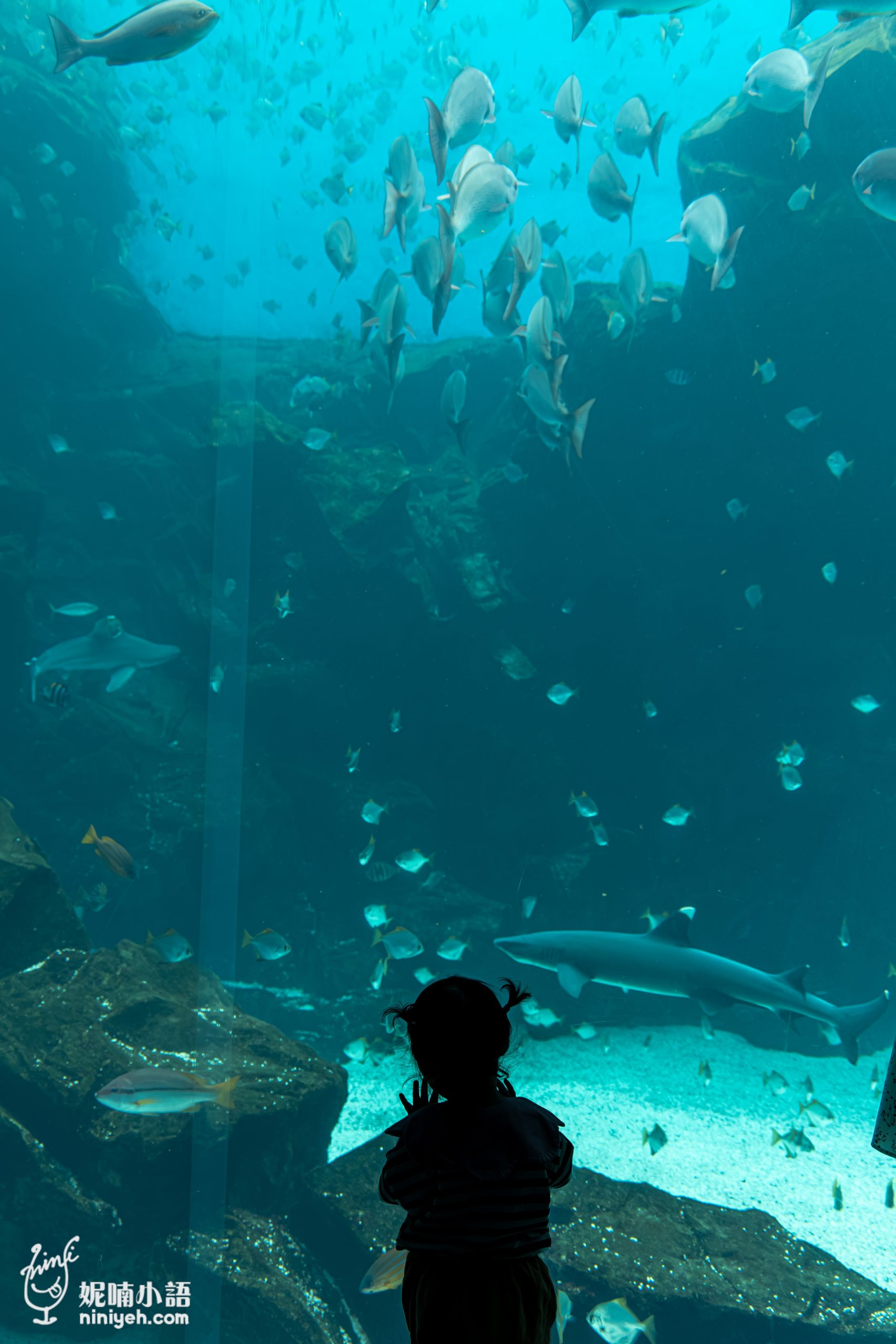 Xpark 水族館|帶一歲寶寶輕鬆放電!開箱10大展區與親子路線攻略 Xpark 水族館|帶一歲寶寶輕鬆放電!開箱10大展區與親子路線攻略