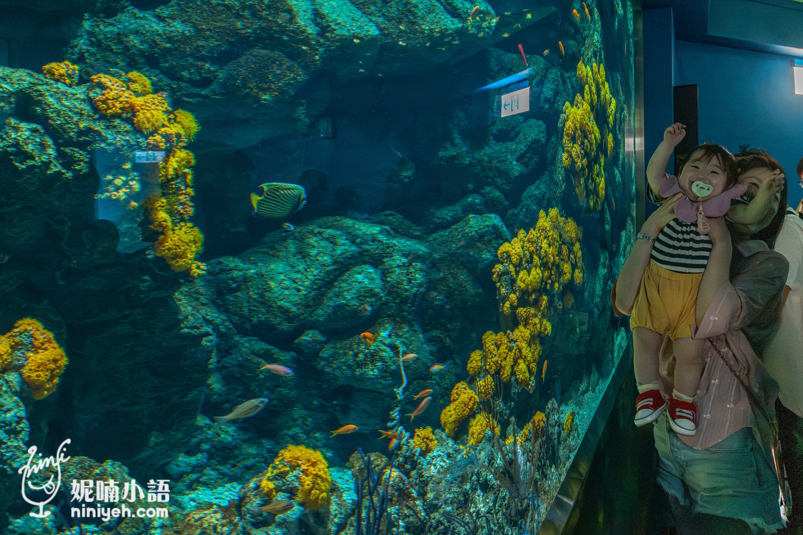 Xpark 水族館|帶一歲寶寶輕鬆放電!開箱10大展區與親子路線攻略 Xpark 水族館|帶一歲寶寶輕鬆放電!開箱10大展區與親子路線攻略
