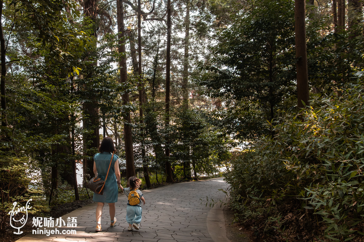 高千穗神社綠蔭步道中 Nico 與女兒的漫步背影