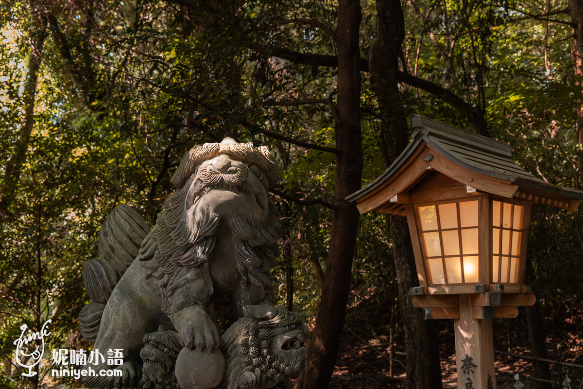 高千穗神社參道石造狛犬與點燈的木造燈籠